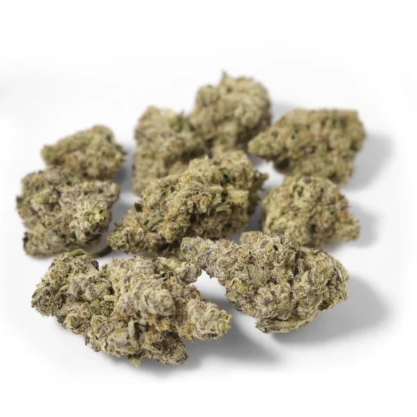 Blue Nerds - Image 2