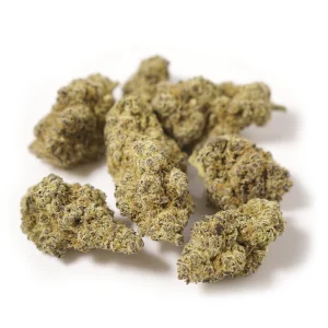 Devil Driver Hemp