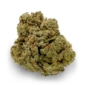 Jack Herer