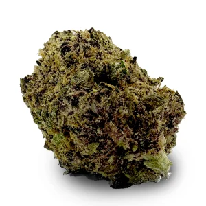 Lemon Cherry Gelato