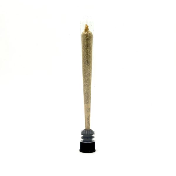 1g Pre Roll