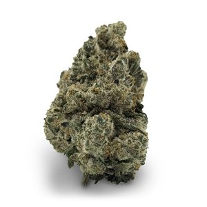 Sweet Tea Sherbert