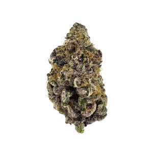 Lemon Cherry Gelato