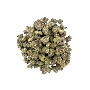 Orange Skunk (Smalls)